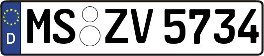 MS-ZV5734