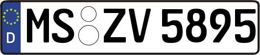 MS-ZV5895