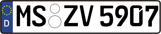MS-ZV5907