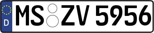 MS-ZV5956