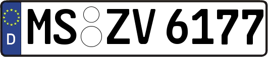 MS-ZV6177