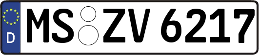 MS-ZV6217