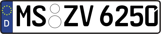 MS-ZV6250