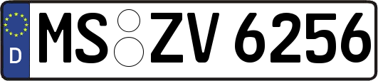 MS-ZV6256