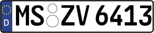 MS-ZV6413