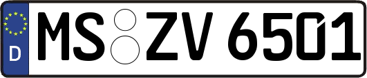 MS-ZV6501