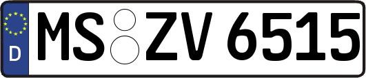 MS-ZV6515