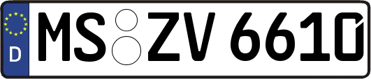 MS-ZV6610