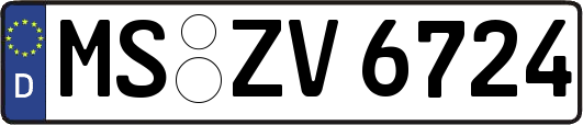 MS-ZV6724