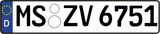 MS-ZV6751