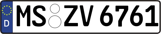 MS-ZV6761