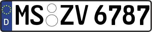 MS-ZV6787