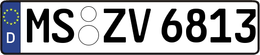 MS-ZV6813