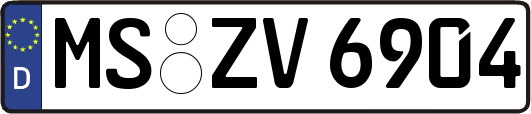 MS-ZV6904