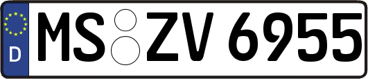 MS-ZV6955