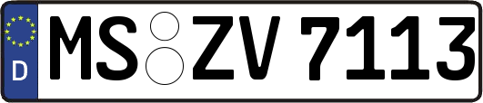 MS-ZV7113