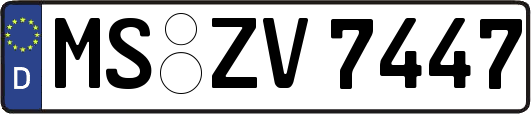 MS-ZV7447