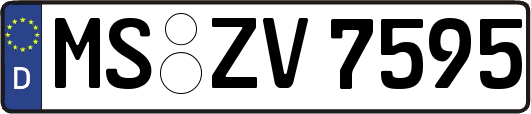 MS-ZV7595