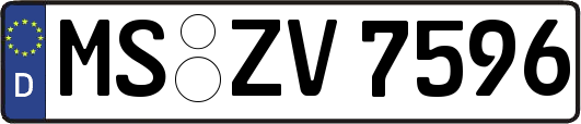 MS-ZV7596