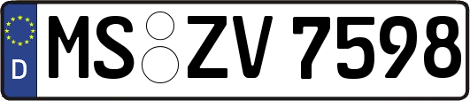 MS-ZV7598