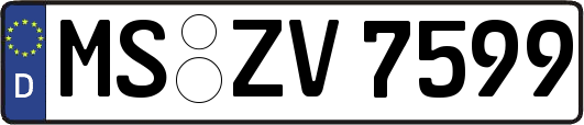 MS-ZV7599