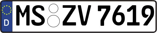 MS-ZV7619