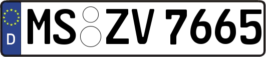 MS-ZV7665