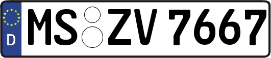 MS-ZV7667