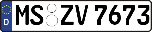 MS-ZV7673