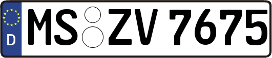 MS-ZV7675