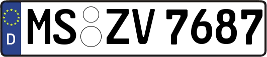 MS-ZV7687