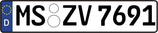 MS-ZV7691