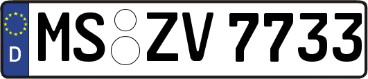 MS-ZV7733