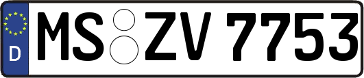 MS-ZV7753