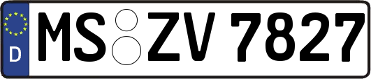 MS-ZV7827