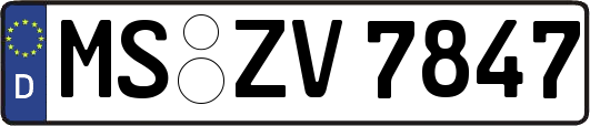 MS-ZV7847