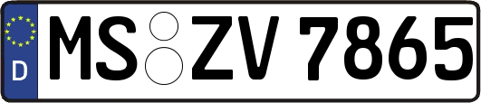 MS-ZV7865