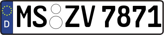 MS-ZV7871