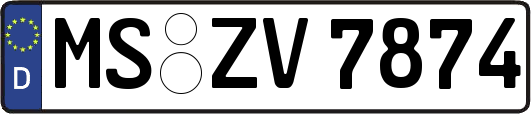 MS-ZV7874