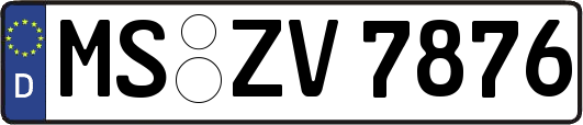 MS-ZV7876