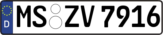 MS-ZV7916