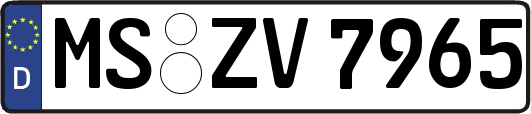 MS-ZV7965