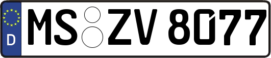 MS-ZV8077
