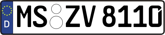 MS-ZV8110