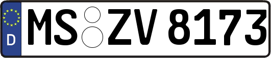 MS-ZV8173