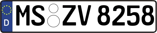 MS-ZV8258