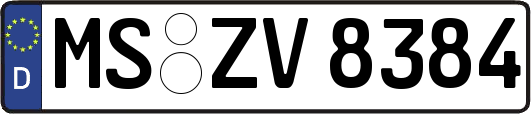 MS-ZV8384