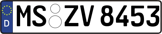 MS-ZV8453