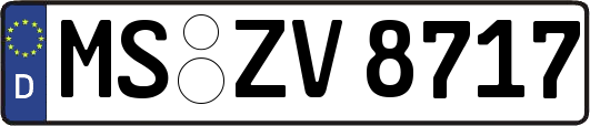 MS-ZV8717