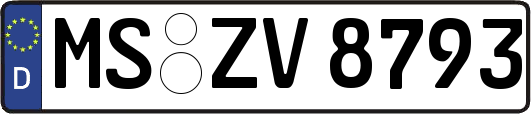 MS-ZV8793